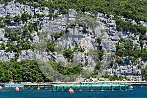 Lim-Bay, Istria, Croatia