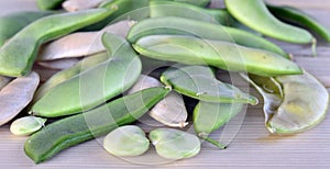 Lima bean pods. photo