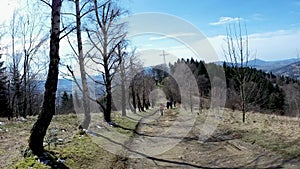 Limanowa, Poland: People hiking or trekking in Lysa Gora Beskid Wyspowy dirt road surrounded with leafless trees in forest on