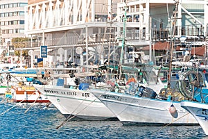 Limassol, Cyprus - January 06, 2023: Traditional Cypriot fishing boats moored in Old Port of Limassol
