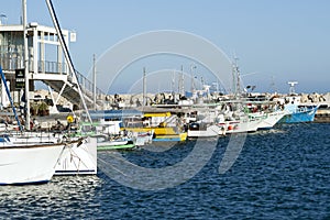 Fishing boats moored at Limassol Old Port, Cyprus