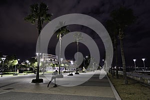 Limassol Cyprus town tourist landmark marian port seaside