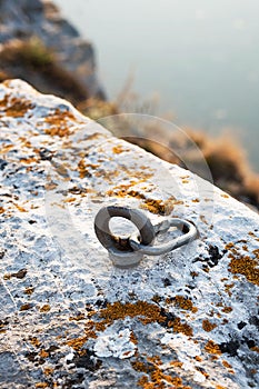 ÃÂ¡limbing carabiner hook and trigger device in stone. Carabiner for mountaineering on rocky background. photo