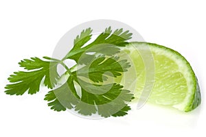 Lime and Cilantro or Coriander