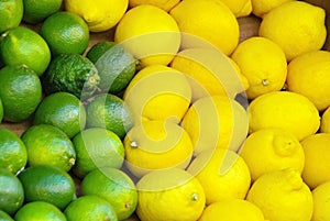 Lime citrous