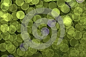 lime color abstract of blur and bokeh colorful light and night garden