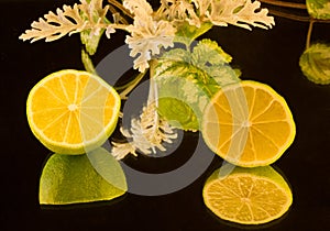 Lime ,cut in half on a black background
