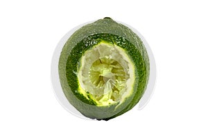 Lime fresh bitten off isolated