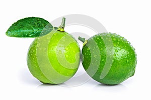 two whole fresh organic lime fruit