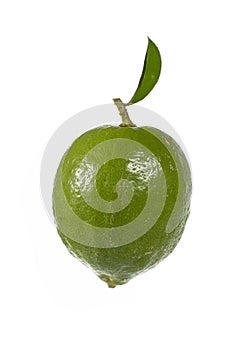lime fruit with its leaves on a white background