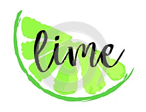 Lime fruit label and sticker