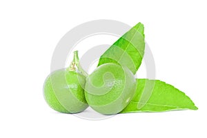 Lime fruit with leaf isolated on white background