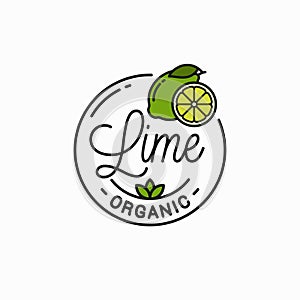Lime fruit logo. Round linear logo of lime slice