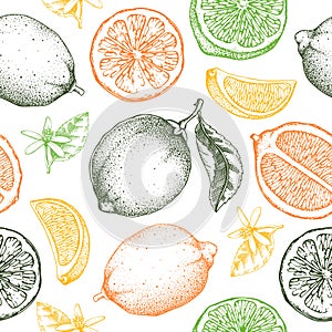 Lime fruit seamless pattern. Citrus fruit sketches in color. Botanical background. Exotic plants texture. Hand drawn vector