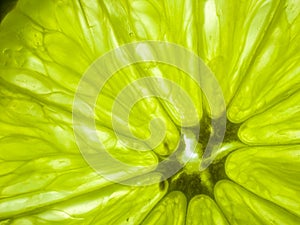 Lime green background photo