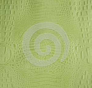 Lime Green Embossed Gator Back Leather Texture