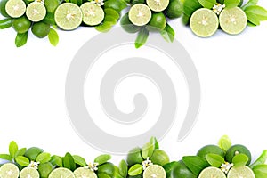 lime and green leaf frame and border on white background