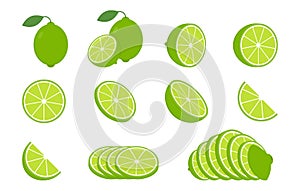 Lime with green leaves isolated on white background. Raw vegetarian food. Lime whole, half and slice vector illustration. Green