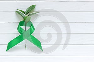 Lime Green Ribbon on white wooden background, world Mental health day. photo