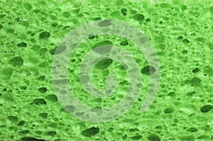 Lime Green Sponge