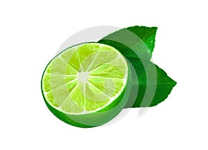 lime isolated on a white background