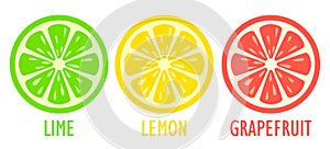 Lime lemon and grapefruit slice vector icon