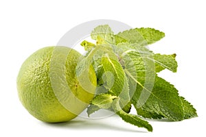 Lime with mint leaves