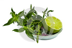 Lime with mint sprigs on a saucer