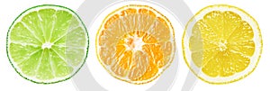 Lime, Orange, lemon. Slices of citrus fruits. Isolated