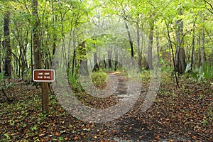 Lime Sink Run Trailhead