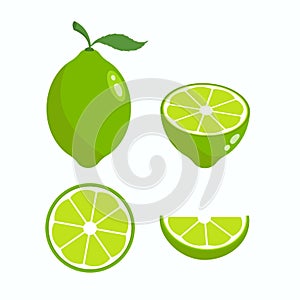 Lime slice green illustration flat vector