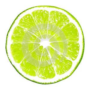 Lime slice isolated