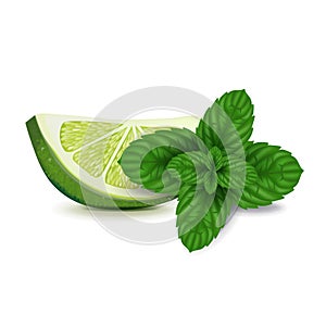 Lime slice with mint isolated on white