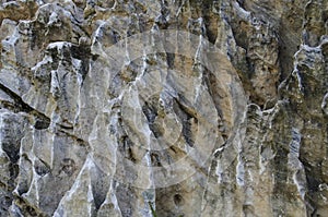 Lime Stone Background