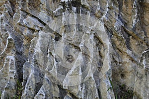 Lime Stone Background