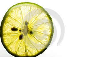 Lime on white background. Room for text photo