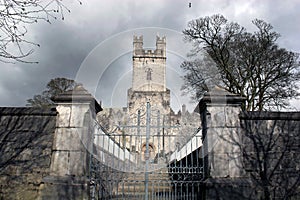 Limerick cathedral
