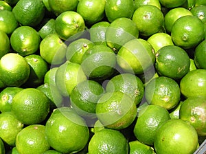 Limes Closeup