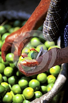 Limes- Guatemala