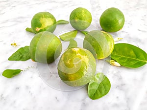 Limes surrounded by jasmine leaves and jasmine flowers