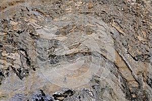 Limestone background