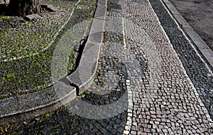 Limestone black white mosaic old badly repaired with patches. The tree roots deform the surface and the grass overgrows each joint