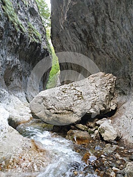 Limestone boulder in Cheile Rametului river gorges