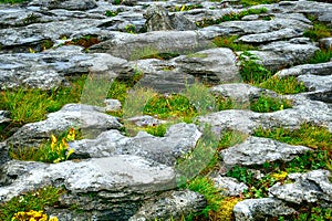 Limestone, The Burren National Park, Ireland
