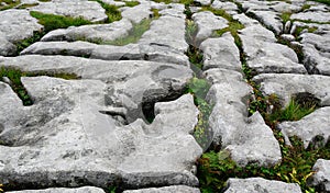 Limestone, The Burren National Park, Ireland