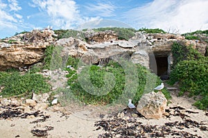 Limestone Caves at Penguin Island