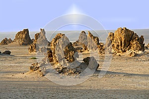 Limestone chimneys on the dried lake Abbe in Djibuti