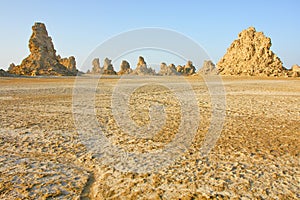 Limestone chimneys on the dried lake Abbe in Djibuti