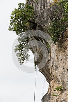 Limestone cliff in railey beach