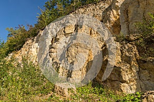 Limestone cliff slope located in BaÅ‚tÃ³w, Swietokrzyskie region, Poland